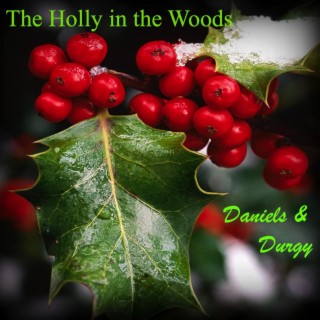 The Holly in the Woods
