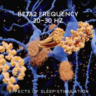 Beta2 Frequency (20–30 Hz): Effects of Sleep Stimulation, Oscillation in Nonsynaptic Networks of Somatosensory Cortex