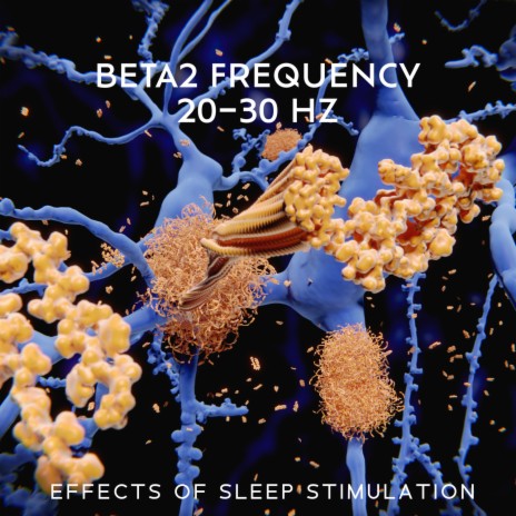 Beta2 Frequency (20–30 Hz) | Boomplay Music