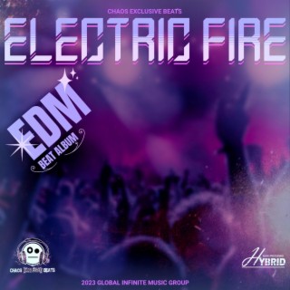 ELECTRIC FIRE