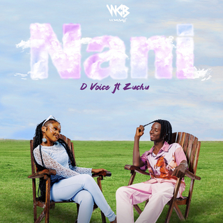 Nani ft. Zuchu lyrics | Boomplay Music