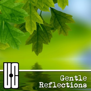 Gentle Reflections