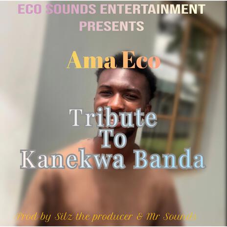 Tribute to Kanekwa Banda | Boomplay Music