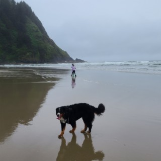 Surf Yachats