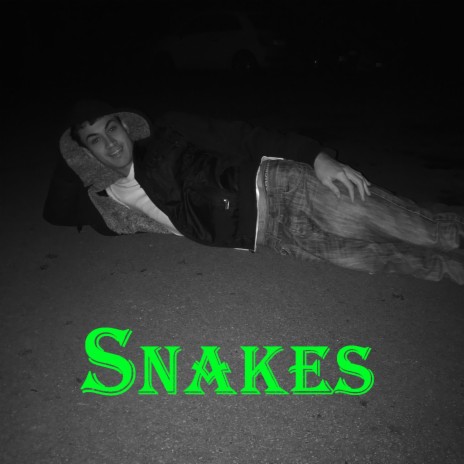 Snakes | Boomplay Music