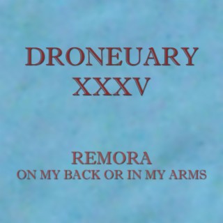 Droneuary XXXV - On My Back Or In My Arms