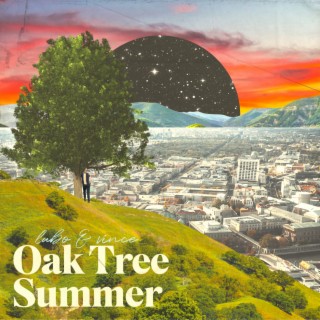 Oak Tree Summer