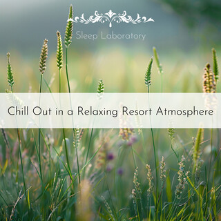 Chill Out in a Relaxing Resort Atmosphere