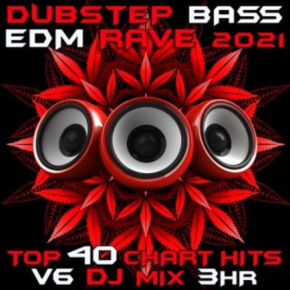 Dubstep Bass EDM Rave 2021 Top 40 Chart Hits, Vol. 6 DJ Mix 3Hr