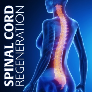 Spinal Cord Regeneration: Instant Back Pain Relief Music & Isochronic Tones for Healing