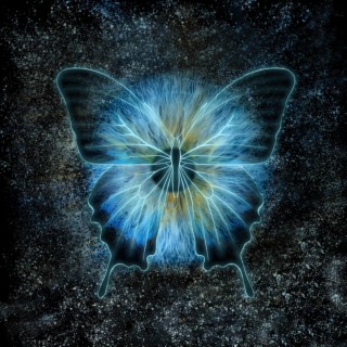 Papillon lyrics | Boomplay Music