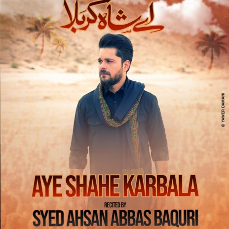 Aye Shahe Karbala Khwahish e Azadar | Boomplay Music