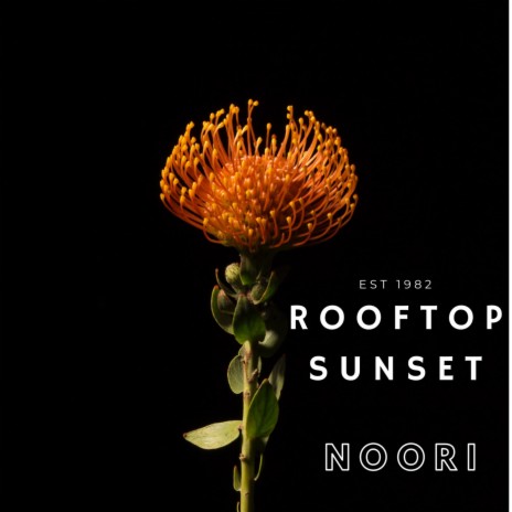 ROOFTOP SUNSET | Boomplay Music