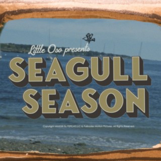 Seagull Season