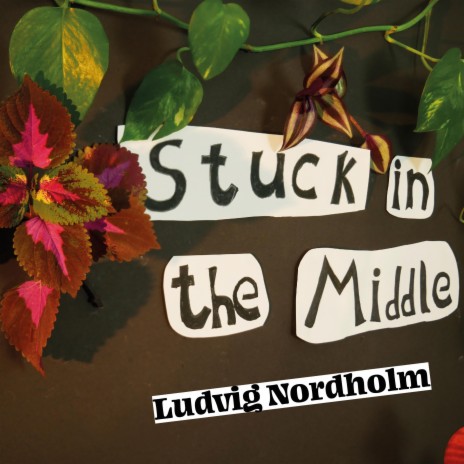 Stuck In The Middle | Boomplay Music