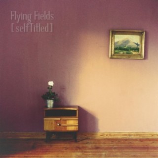 Flying Fields