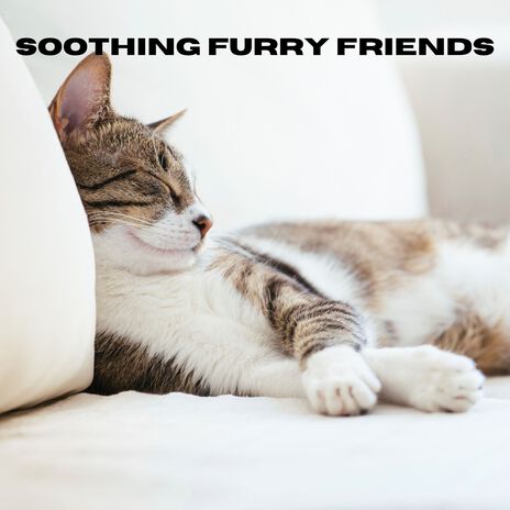 Calm Canine Moments (Loopable, No Fade) ft. Music For Cats & Relax My Cat | Boomplay Music