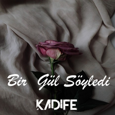 Bir Gül Söyledi | Boomplay Music