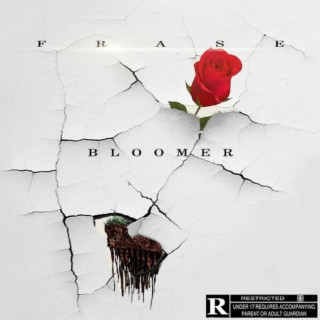 Bloomer