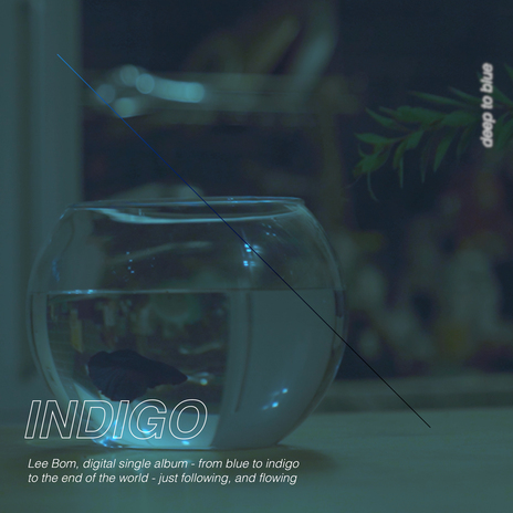 Indigo | Boomplay Music