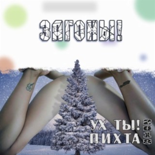 Ух ты, пихта!