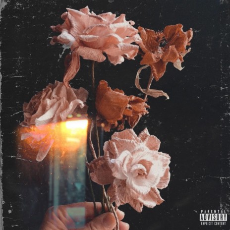 DEAD FLOWERS | Boomplay Music