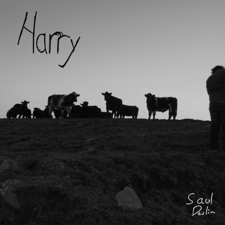 Harry (Single Release)