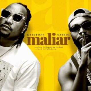 Maliar ft. Naiboi lyrics | Boomplay Music