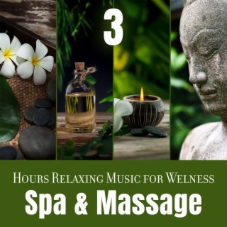 3 Hours Relaxing Music for Welness, Spa & Massage: 50 Nature Ringtones