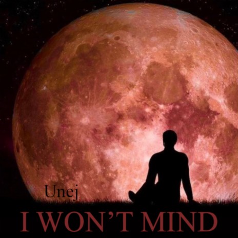 I Won't Mind | Boomplay Music