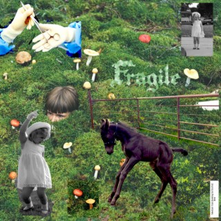 Fragile