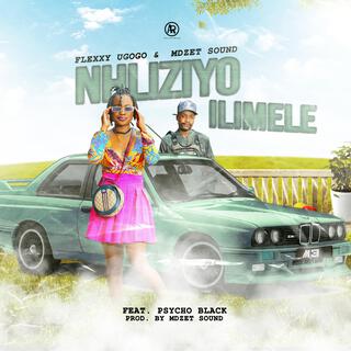 Nhliziyo Ilimele