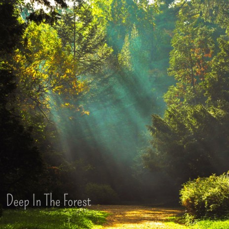 Deep In The Forest | Boomplay Music