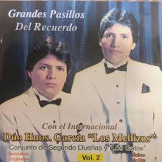 Grandes Pasillos De Recuerdo, Vol. 2