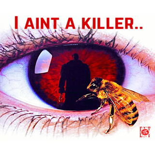 I Aint A Killer