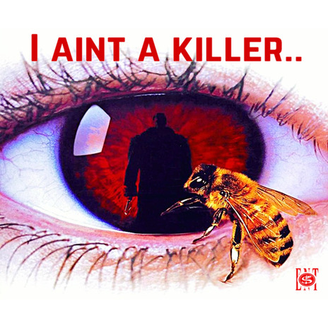 I Aint A Killer | Boomplay Music