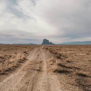 Navajo Treaty Flow