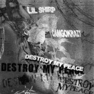 Destroy My Peace