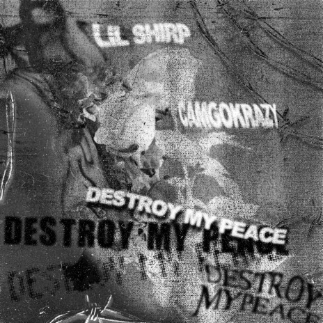 Destroy My Peace ft. Lil Shirp | Boomplay Music