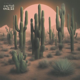 CACTUS HAZE