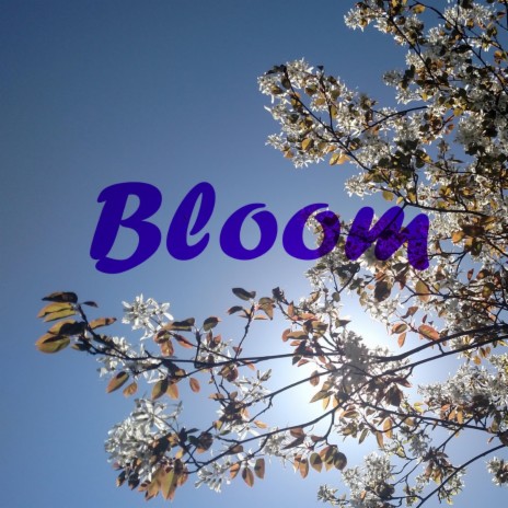 Bloom | Boomplay Music