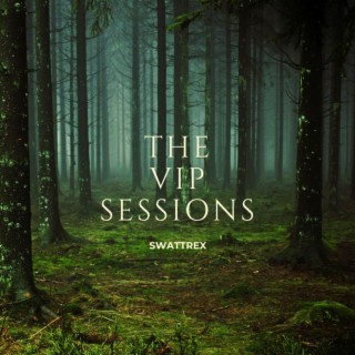 THE VIP SESSIONS 1 : LOVE BIRDS
