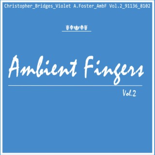 Ambient Fingers Vol. 2