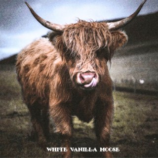 White Vanilla Moose