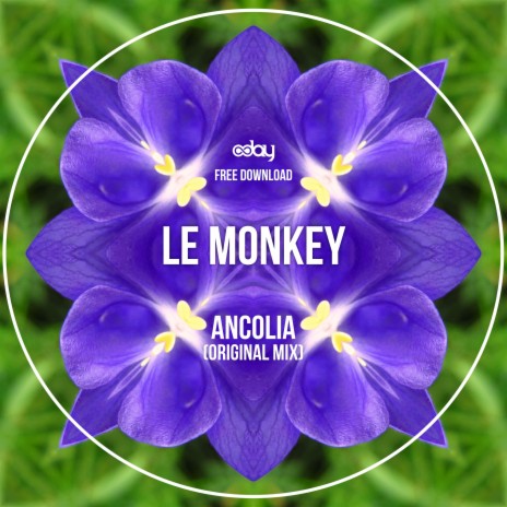 Ancolia | Boomplay Music