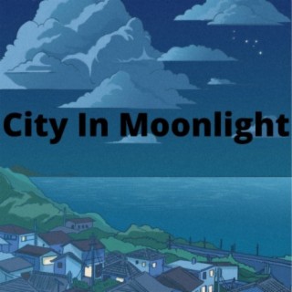 City in Moonlight