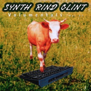 Synth Rind Clint