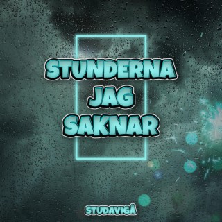 STUNDERNA JAG SAKNAR