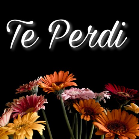 Te perdi | Boomplay Music