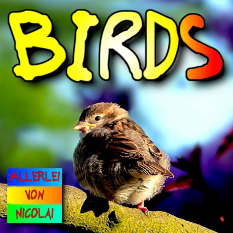 Birds | Boomplay Music